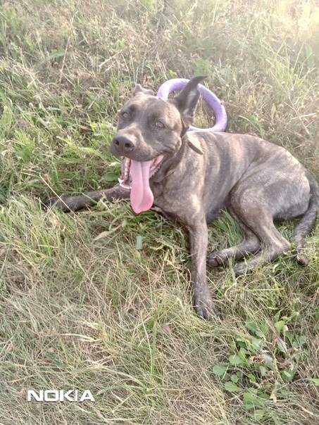 2CA23B1C-B949-40F2-B23C-3A57044C25B6