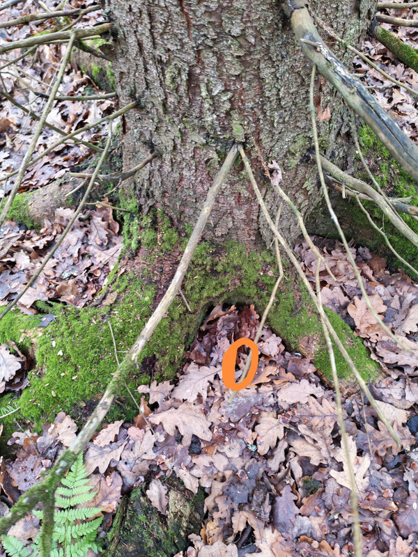 IMG 20251208 105402 edit 285393720140502