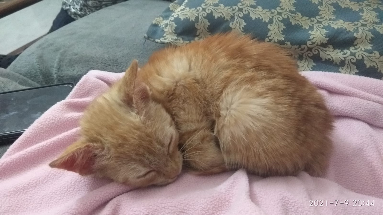 712BA9E1-6608-4FB3-8F93-4EF97FCE7461