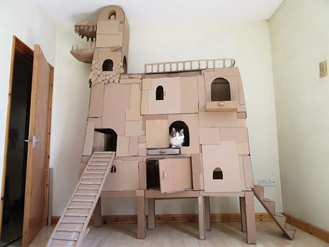 cat-forts6.jpg
