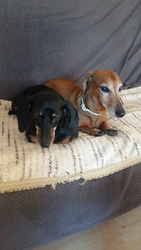 [Image: 20210602-183326.jpg]