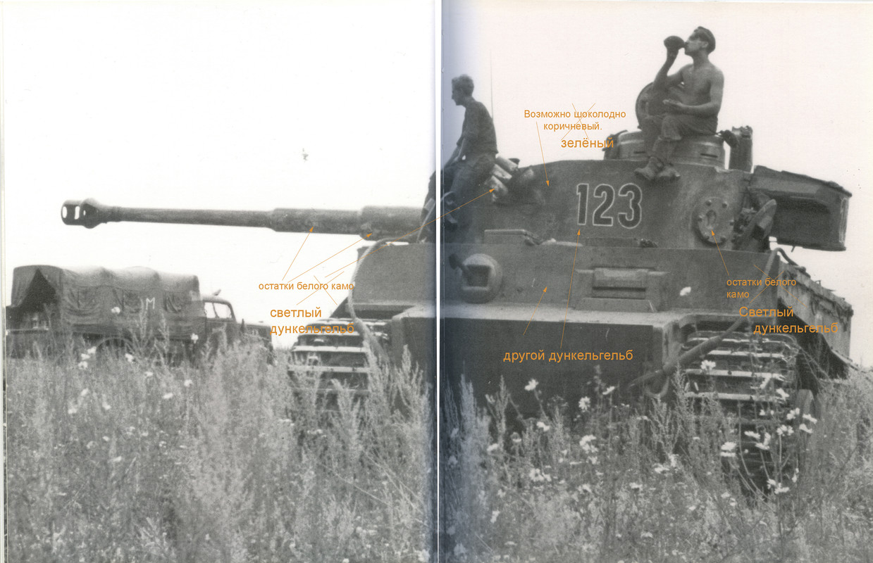 тигр фронт 123 1