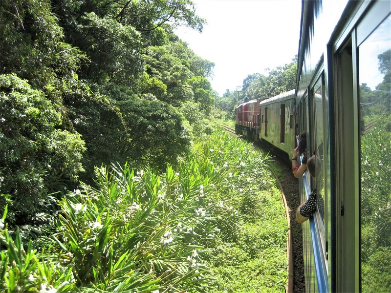 Tren Sierra Verde Exprés-22-2-2010 - Brasil y sus pueblos-2010 (23)