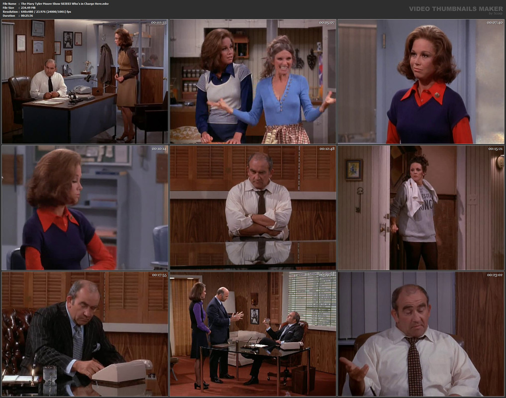 The Mary Tyler Moore Show S03E03 Who's in Charge Here.mkv