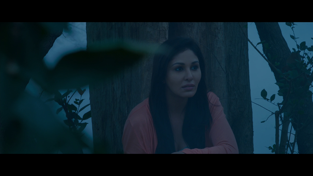 vlcsnap 2026 02 27 19h25m32s193