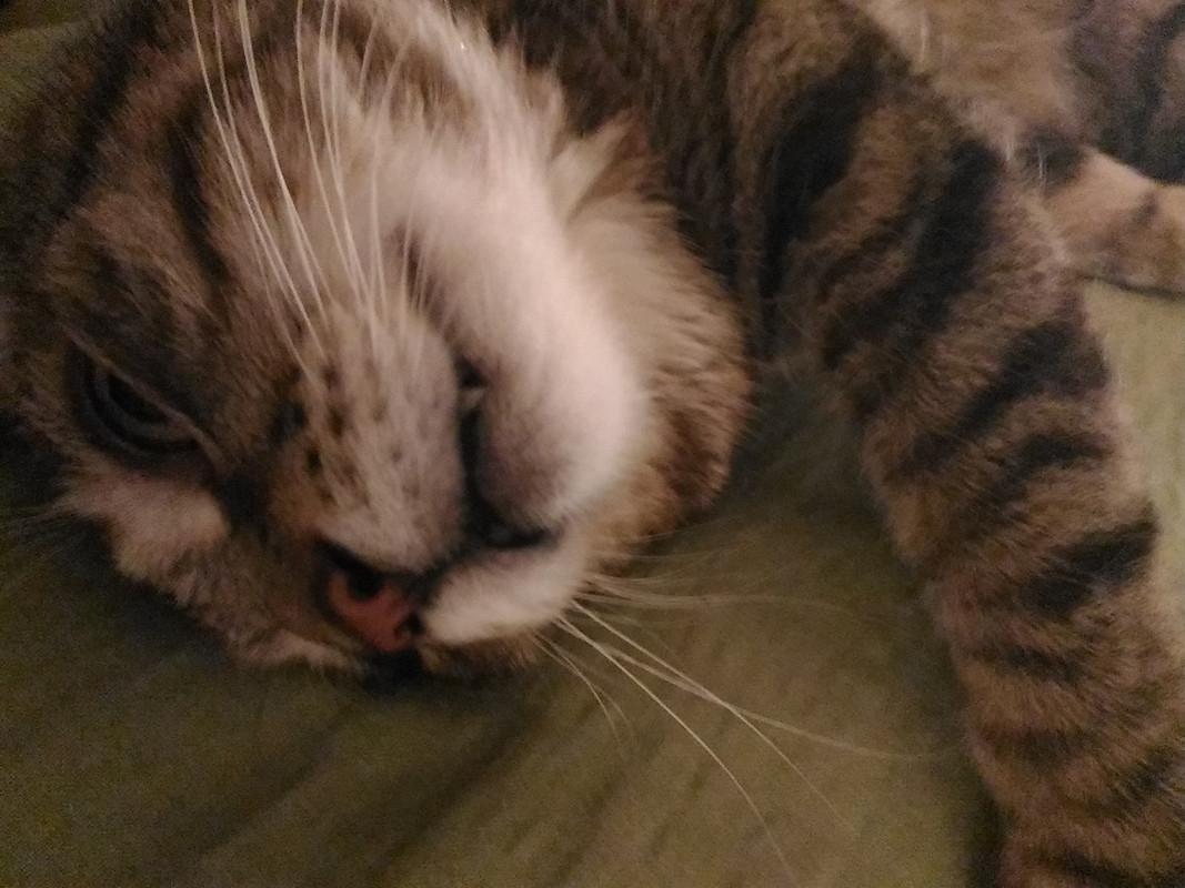 P_20191111_224230_LL