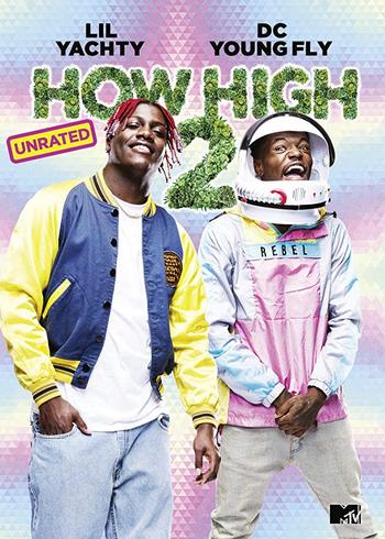 How High 2 2019 DVDRip x264-FRAGMENT