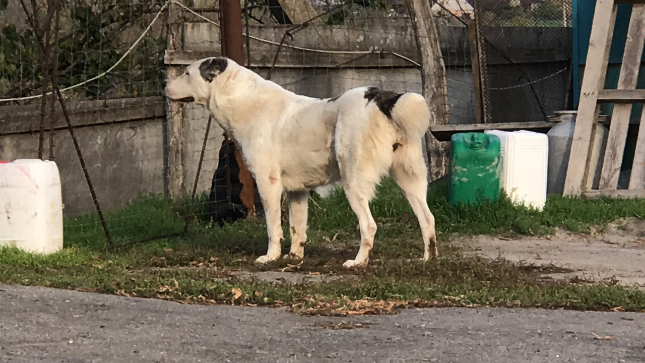 2EAC2F6C-7697-4D76-AFE1-69CCA2B48D0C