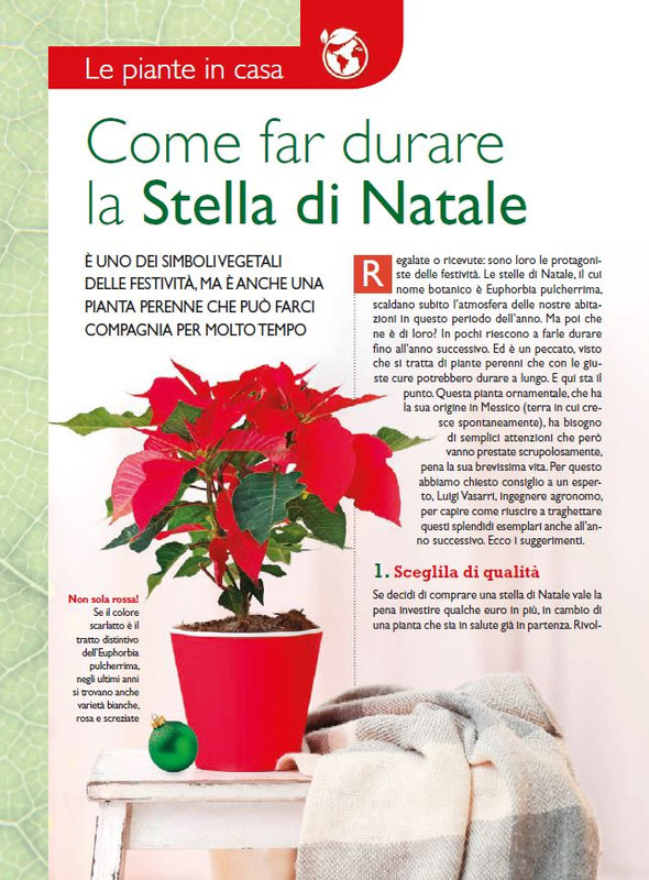 Sal Nat Dic 2023 (9)