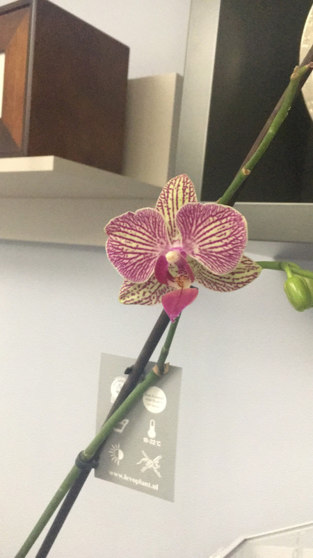 670ABC1A-C779-4968-9319-835D15418272