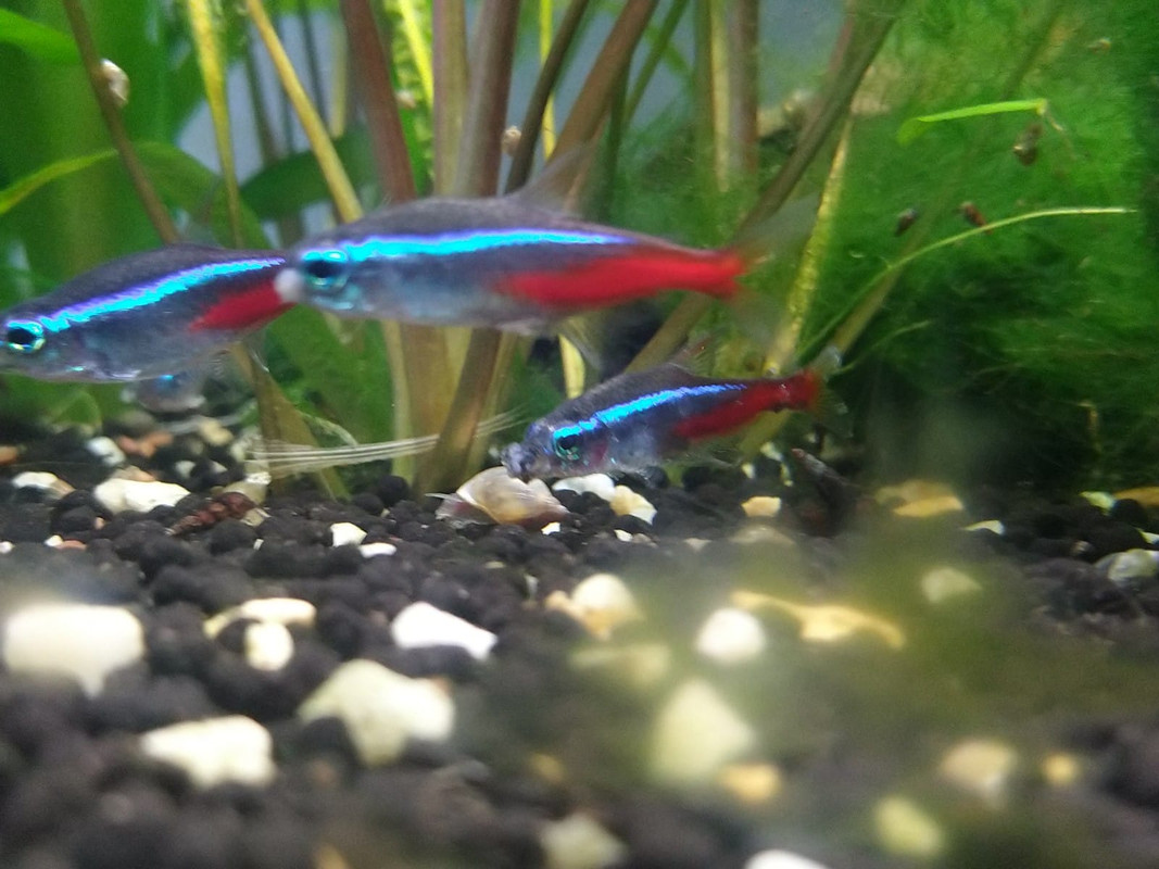 WhatsApp Image 2020-03-19 at 17.07.36 (2)