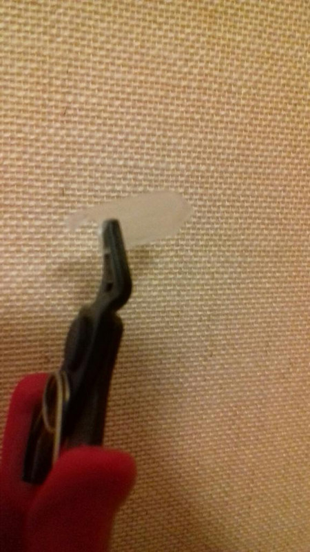 20191223_005304_resized