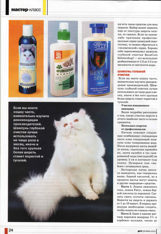 Друг кошек № 10 2010-25