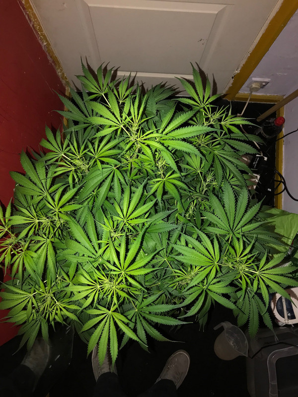 F630E10E-8EB5-4ED7-9FCE-CB2A3A62F435