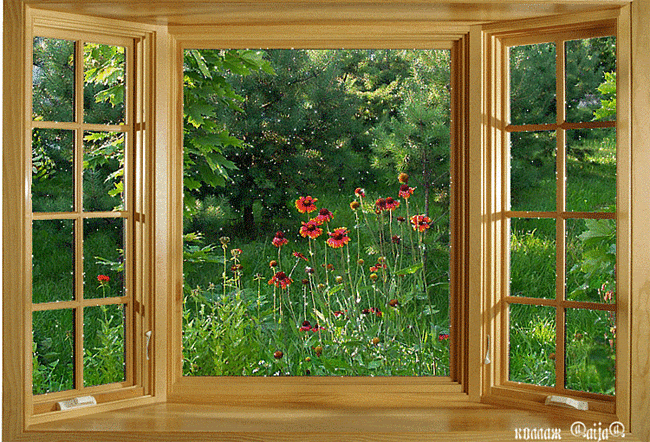 nature41