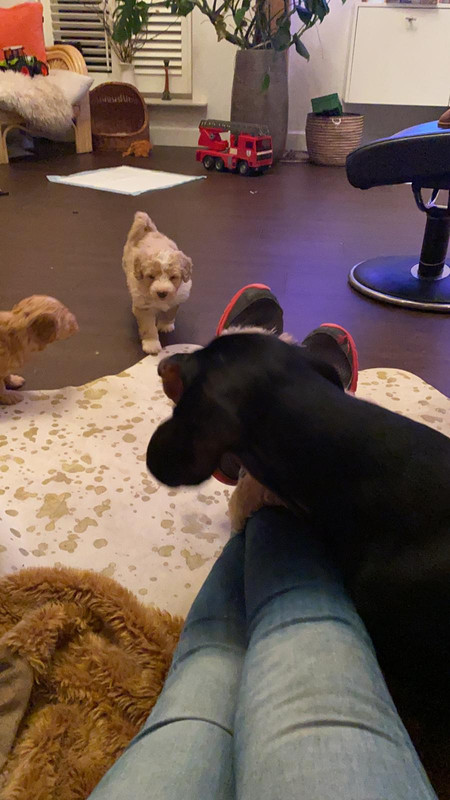 A37A2BC3-DD17-4E50-A45F-6F4C5430970C