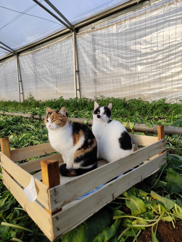 photo 5 2026 04 24 10 13 31