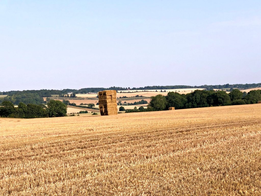 haystacks-HD-7.jpg
