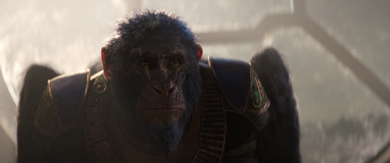 vlcsnap 2026 03 02 17h28m35s483