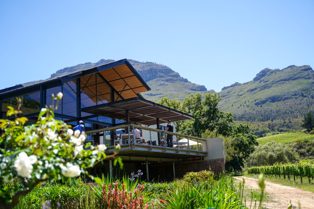 Thelema Vineyards