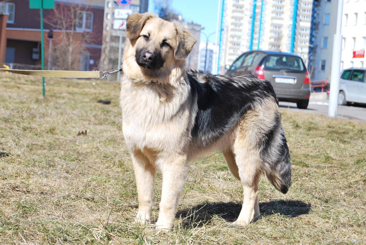 F2A04129-8141-4EE3-8246-17B5824A979D