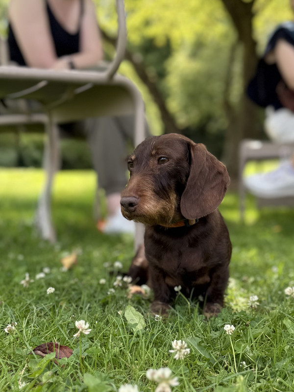 [Image: IMG-2286.jpg]