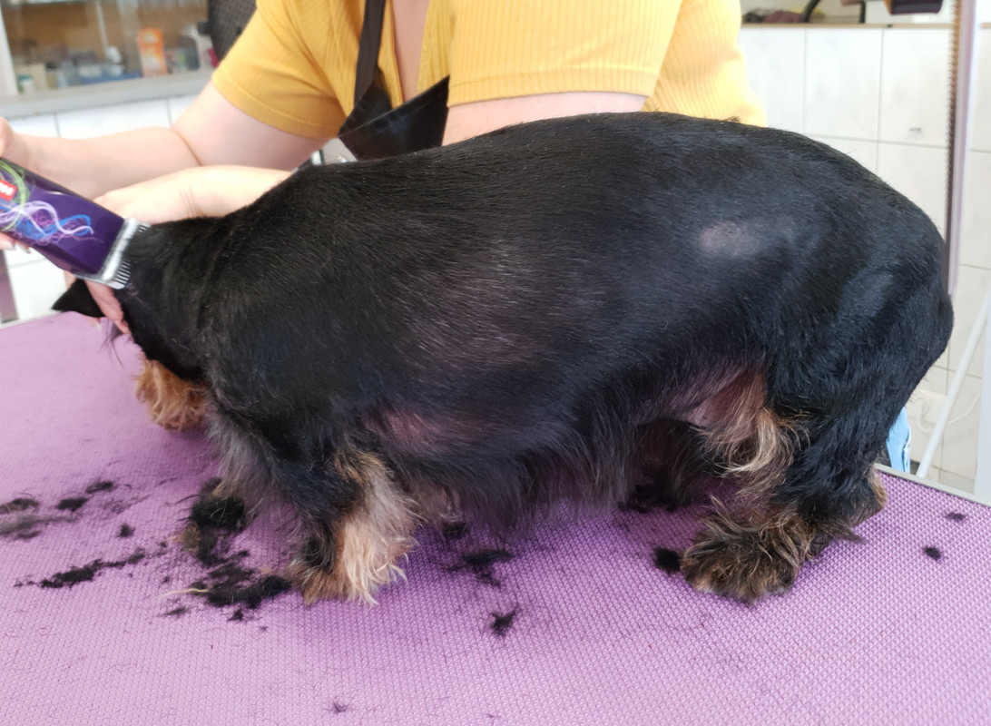 [Image: 20210709-113605.jpg]