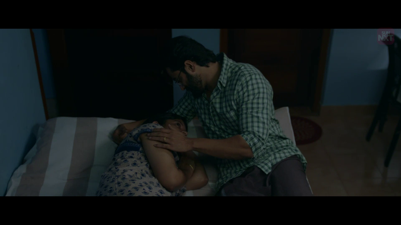 vlcsnap 2026 02 11 15h36m33s603