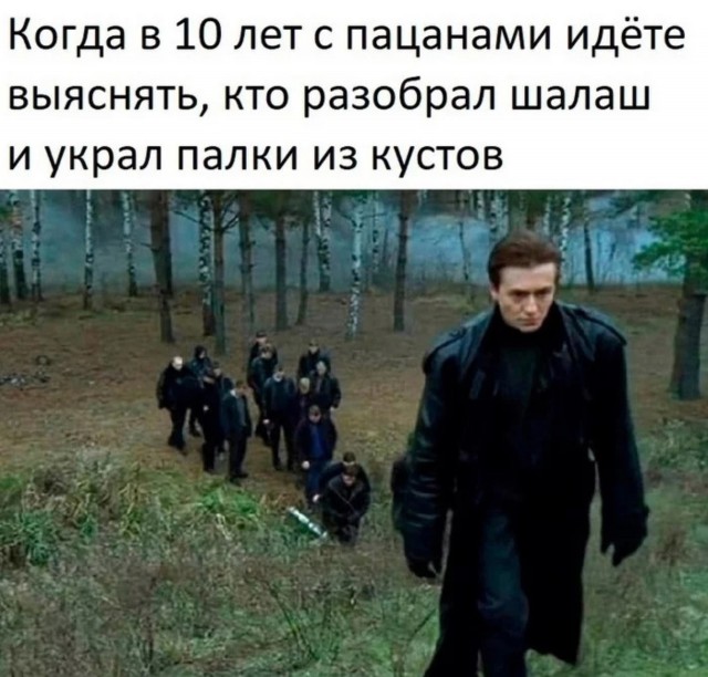 17206841.jpg