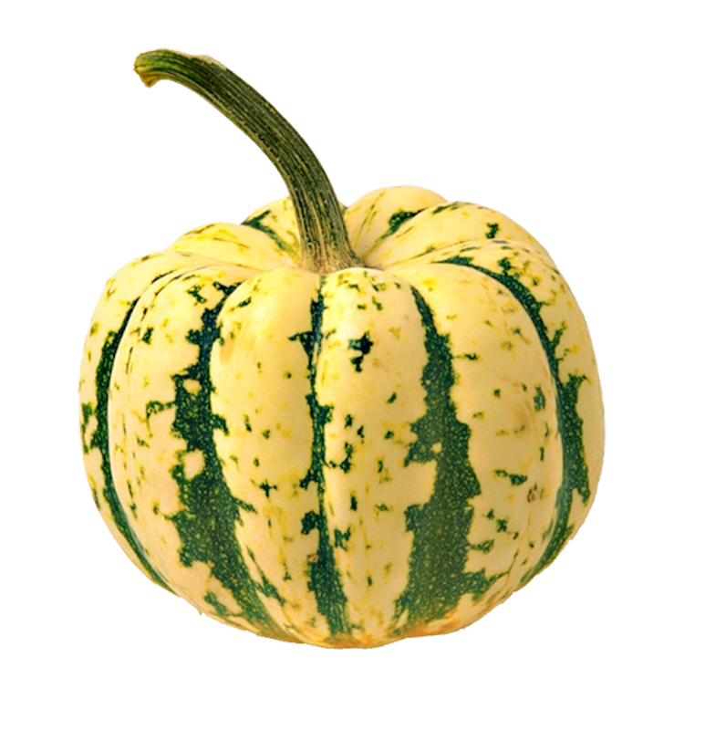 IPD_AH_Element (125)