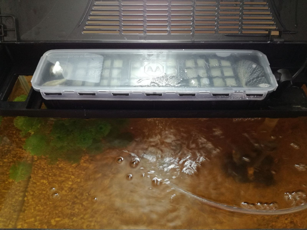 WhatsApp Image 2017-07-12 at 13.12.09 (2)