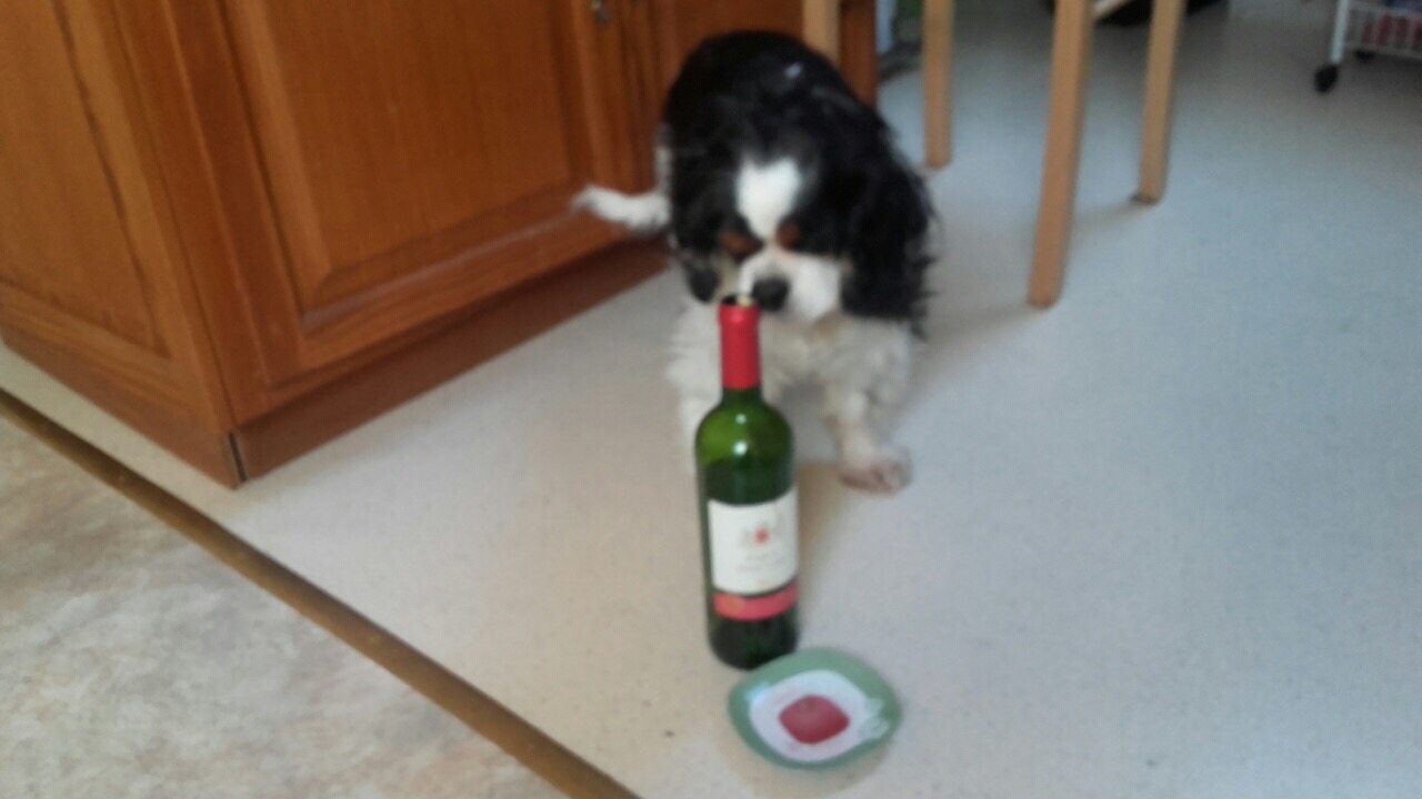 1BAC50C5-6533-411C-8FC5-10832BBD45F1