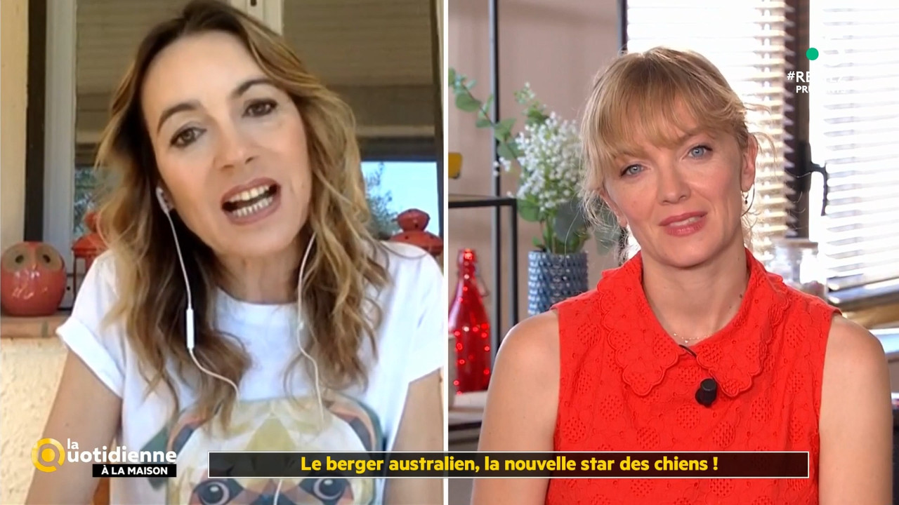 2020-05-27_11_55_Fr5_La-quotidienne.mp4_snapshot_00.36.16.866