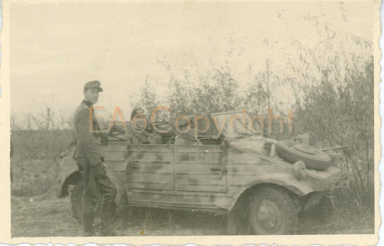 Russland Sturmgeschütz Panzerjäger Abteilung 251