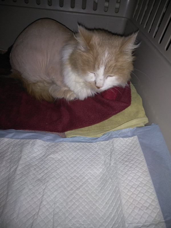 после лечения1