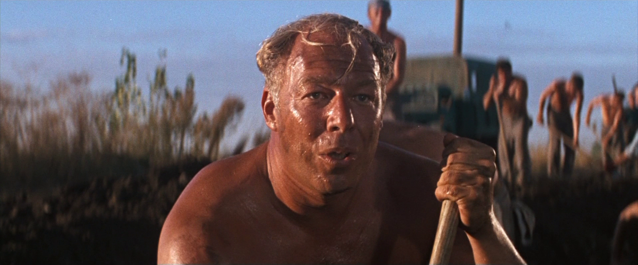 vlcsnap-2024-02-26-21h52m12s240