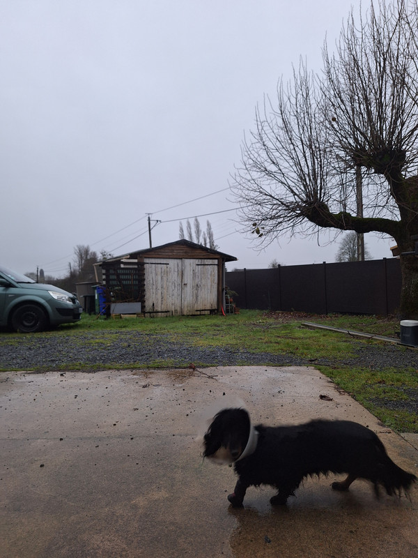 [Image: 20231210-165240.jpg]