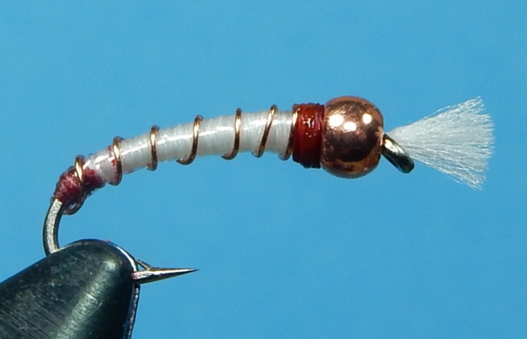 Copper-and-ASB-1080.jpg