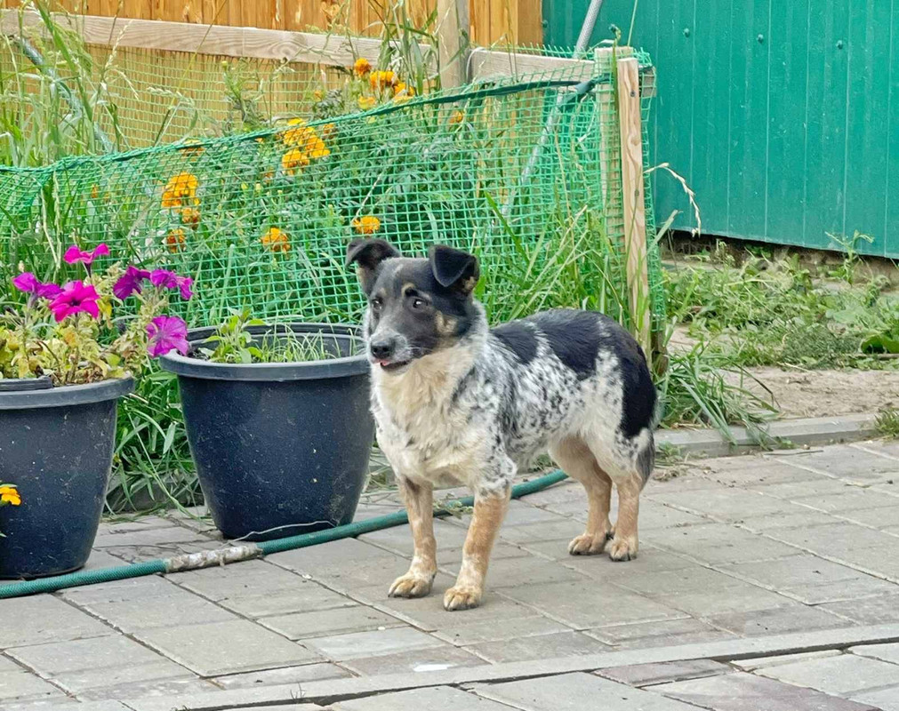 A559C691-41F9-4E39-8D86-20CFF773C7C2