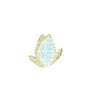 62237-12b2d.gif