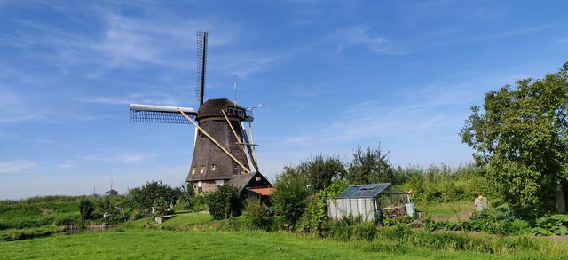 Quinto y último día: Kinderdijk y Rotterdam - Road Trip Holanda con niños (4)