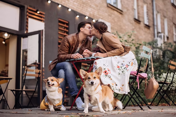 Pet owners on a date with their dogs — match, connect, and share moments together