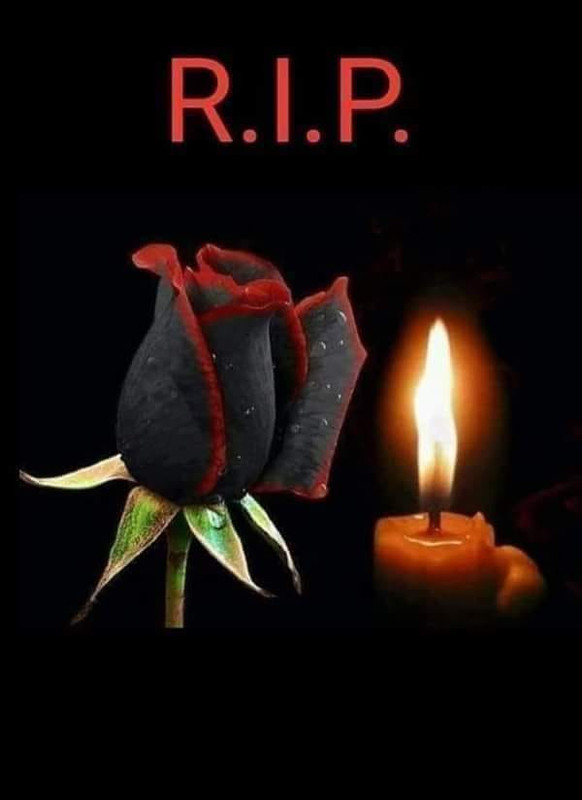 135383732-849121809197278-1005233611735121540-n