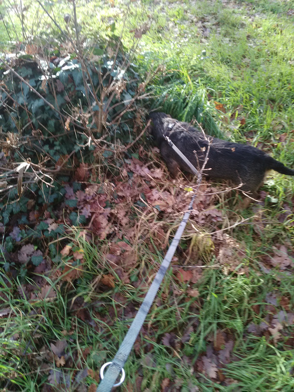 [Image: IMG-20230115-145445.jpg]