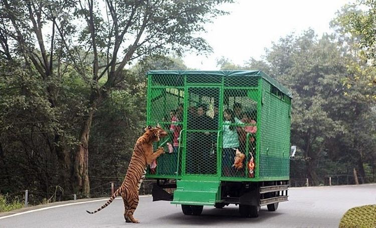 1453365921-lehe-ledu-wildlife-zoo-tours