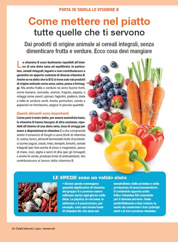 Cur Mang Ago-Set 2024 (9)