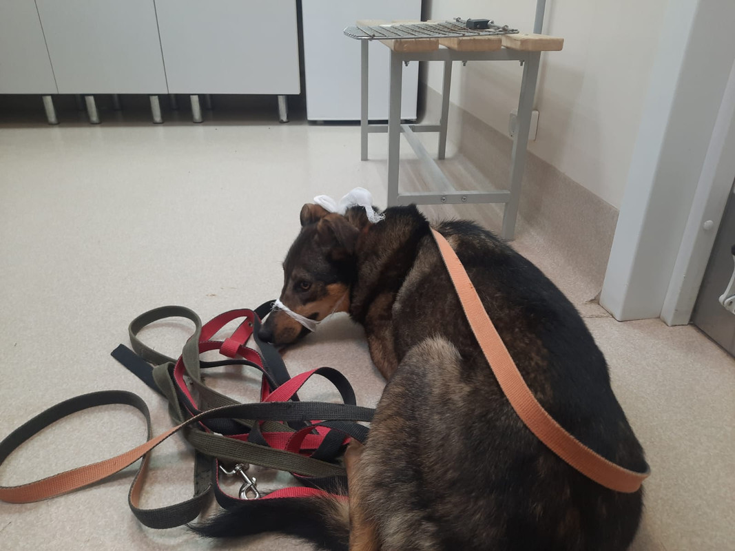 WhatsApp Image 2024-05-20 at 16.35.09 (1)