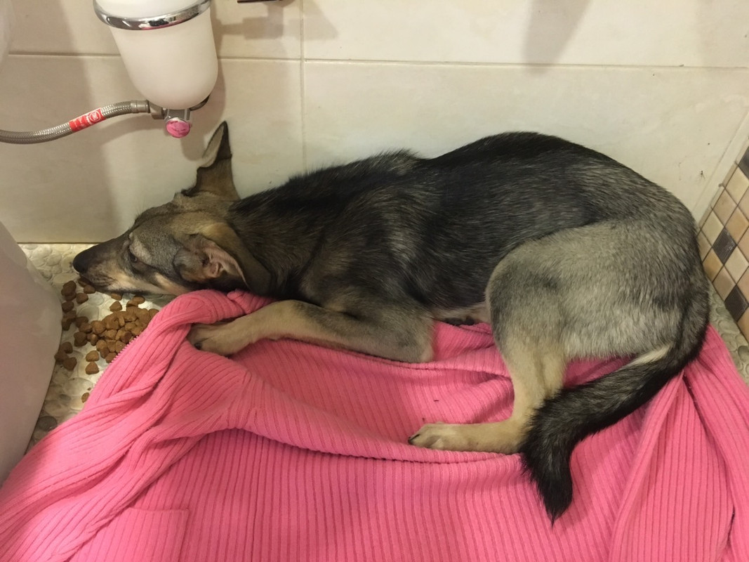 4DF4B567-E74F-4E29-A67B-BF1197068E0B