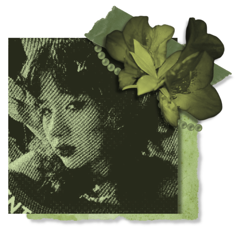 Transparent Left Image
