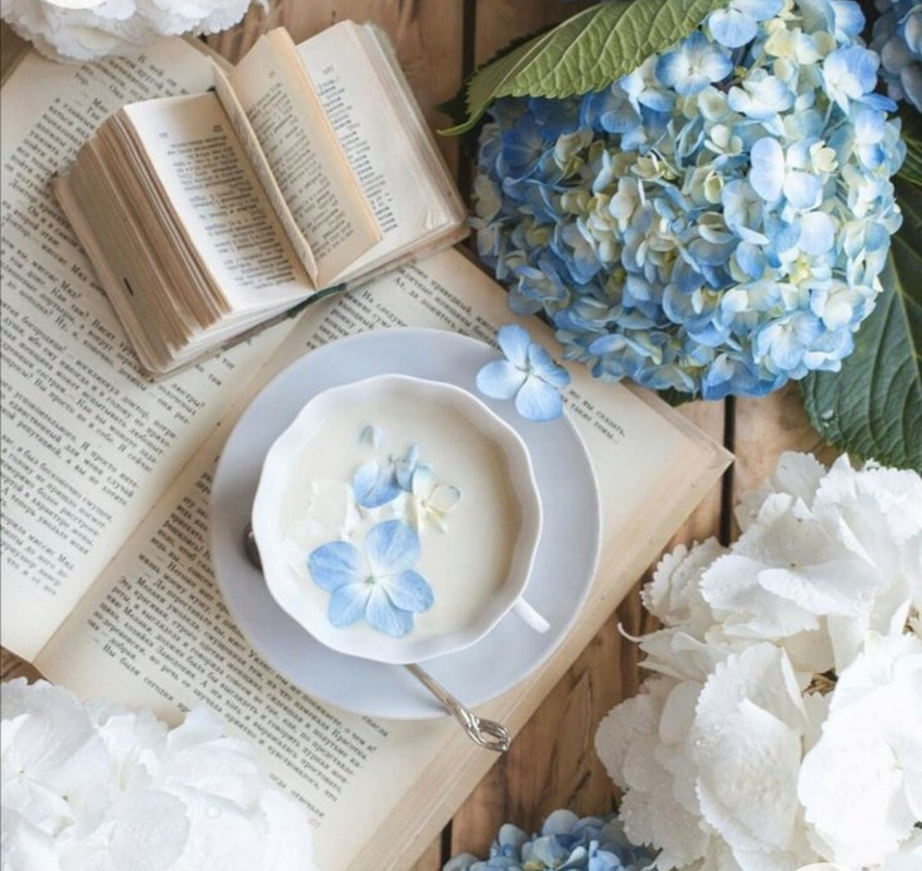 Screenshot_20221227_021209_Chrome